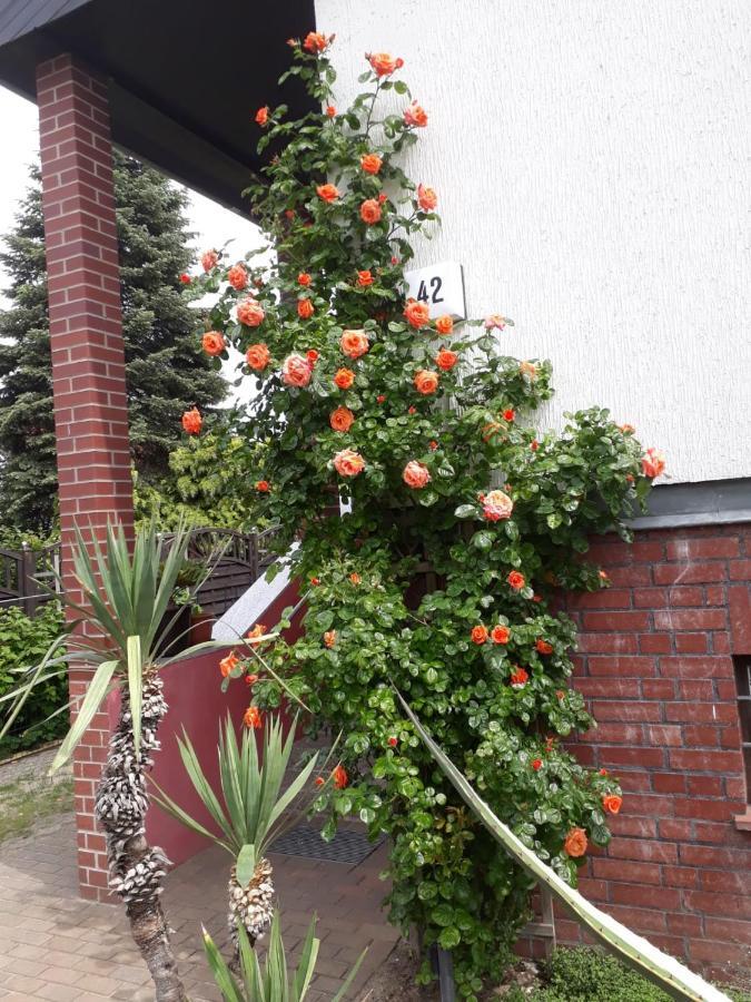 Das Besondere Quartier In Berlin Pankow ภายนอก รูปภาพ